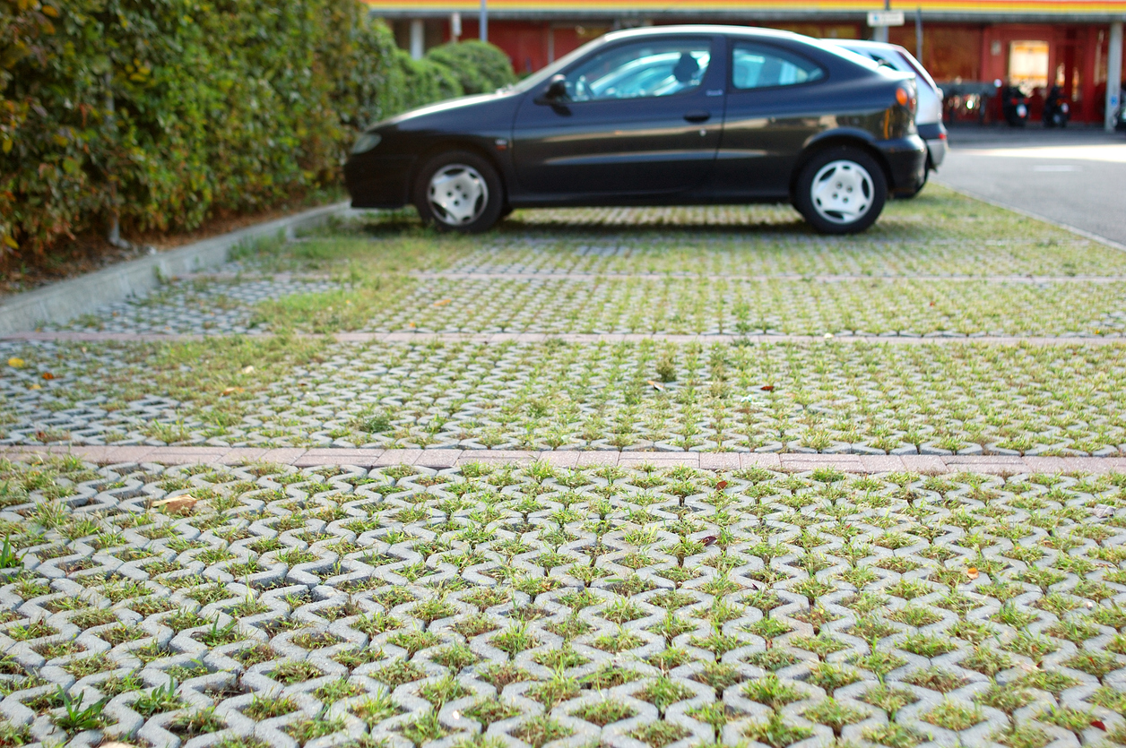 Sustainable Eco-Friendly Landscaping Ideas for Your Yard